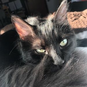 Meet your Posher, Kai